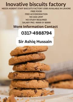 Need staaf innovative Biscuits