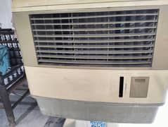 pak fan air foom cooler