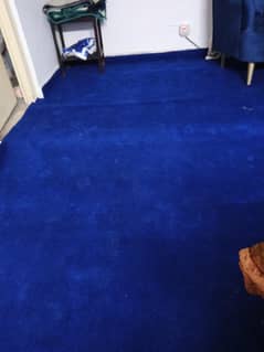Navy blue wall to wall carpet
