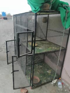 Hen + Parrot Cages