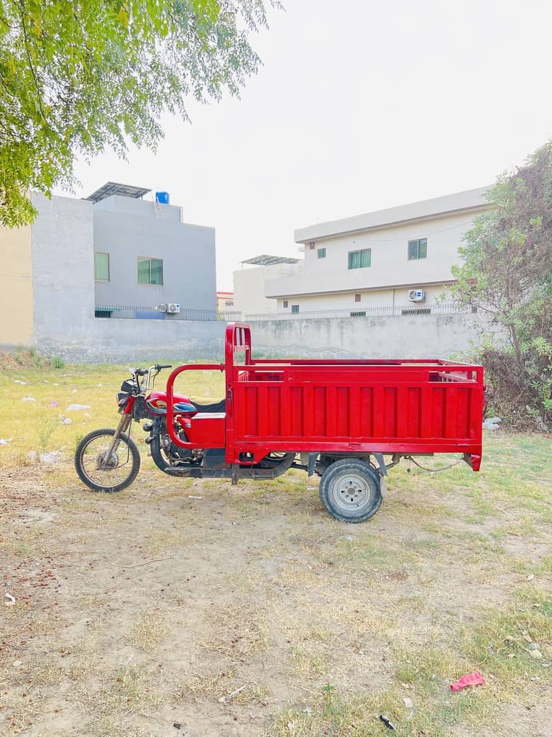 Loder rickshaw 100cc 12