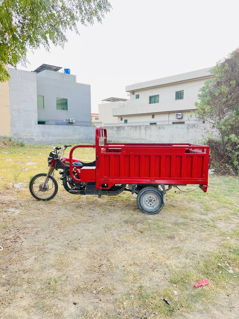 Loder rickshaw 100cc 13
