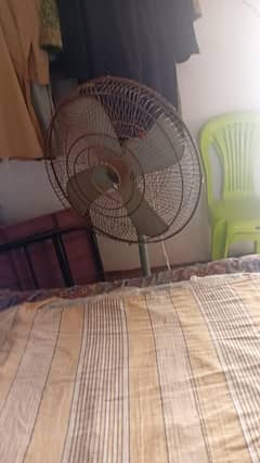 Pedestal fan
