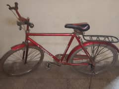 Bicycle Sohrab For Sale