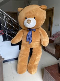 Giant bear For sale
