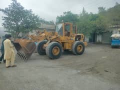 Caterpillar