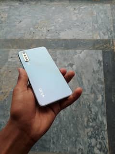 vivo