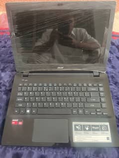acer