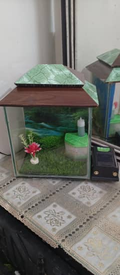 fish Aquarium