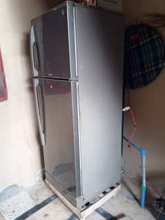 PEL freezer for sale