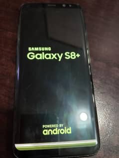 S8