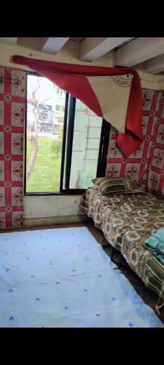 Daily basis room for couple family girls boys