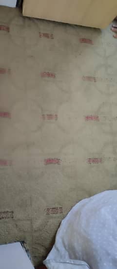 carpet for sale in 3000