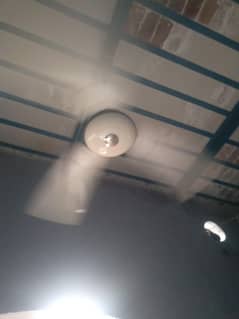royal fan
