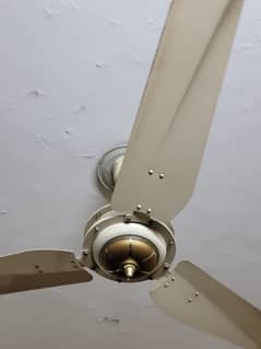Breeze Ceiling Fan Full Size