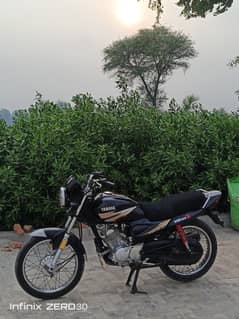 Yamaha