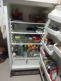 vestel Refrigerator white