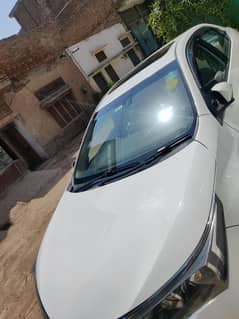 Altis Grande Manual