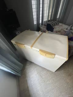 Waves double door freezer