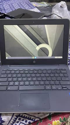 HP