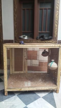 Cage for sale birds hen rabbits for all things