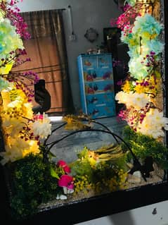 wall hanging mirror & makeup tall shelf