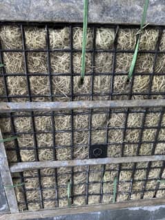 Asia Room cooler for sale