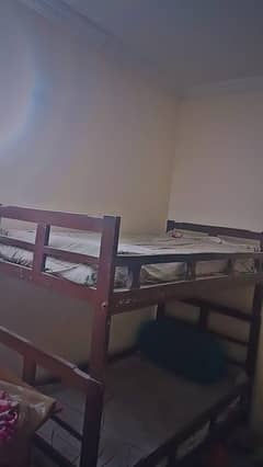 Bunk
