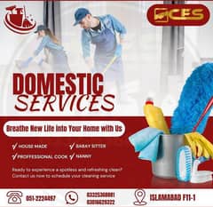 House Maids, Baby Sitter, Cook, Helper, Patient Care, Driver, Nurse