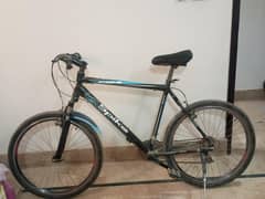 imported bicycle