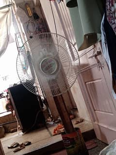 Fan