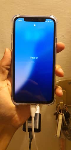 Iphone xs 256gb factory unlocked 100% battery