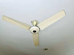 ceiling