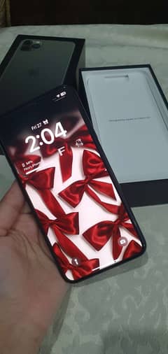iPhone 11 pro max