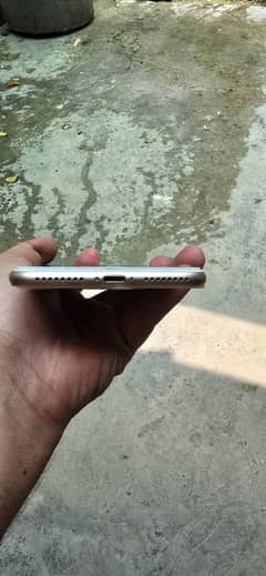 iphone 7 plus 32gb pta approved