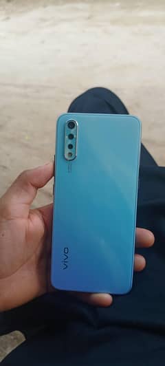 vivo