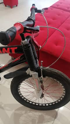 china cycle new model