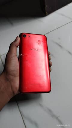 VIVO