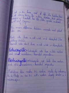 Assignment writer