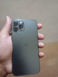 12 pro