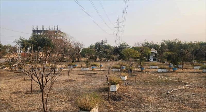 4 kanal Plot with Building on Main Express Way Interchange Big Front On Rent 4