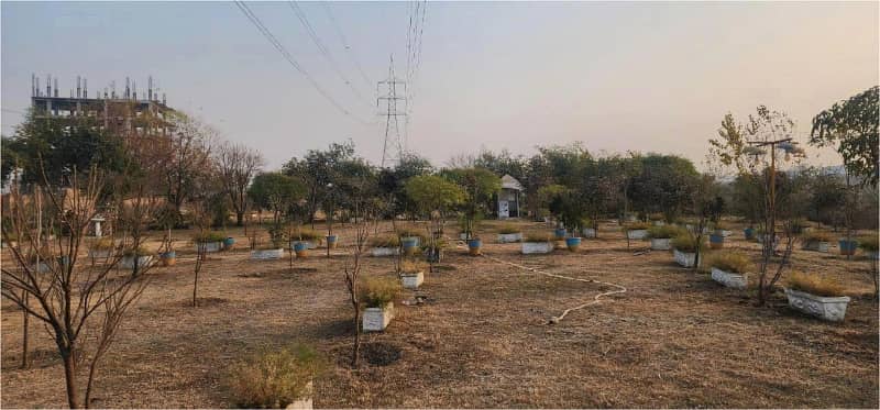 4 kanal Plot with Building on Main Express Way Interchange Big Front On Rent 10
