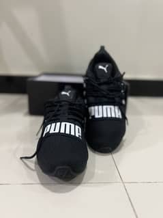 Puma archtec