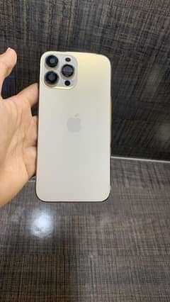 iPhone 13 Pro Max original body