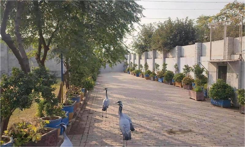7 kanal Plot with Building on Main Express Way Interchange Big Front On Rent 7