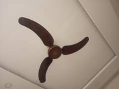 Ceiling Fan For sale just 1 year used