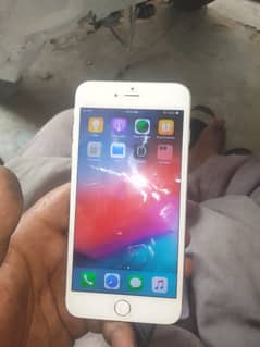 6Plus