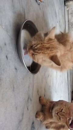 two