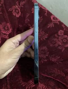 IPHONE 12 PRO MAX 256G