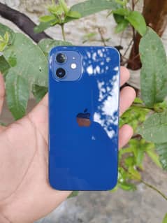 iphone 12 JV